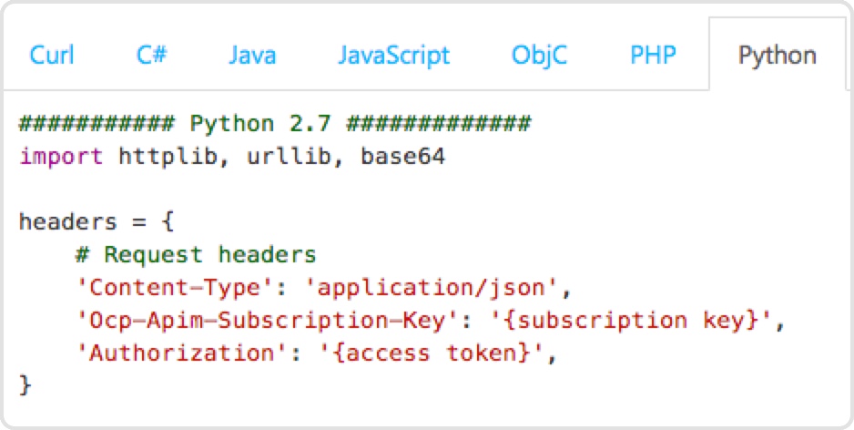 developer code screenshot